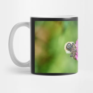 Common carder bee Mug